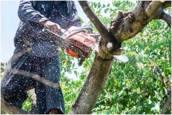 tree services Welling